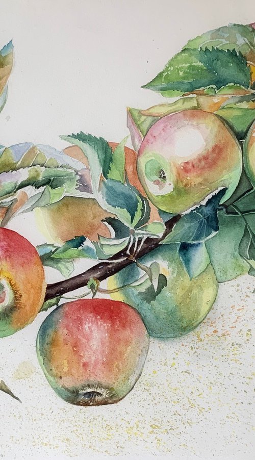 Taste of life by Irina Ponna