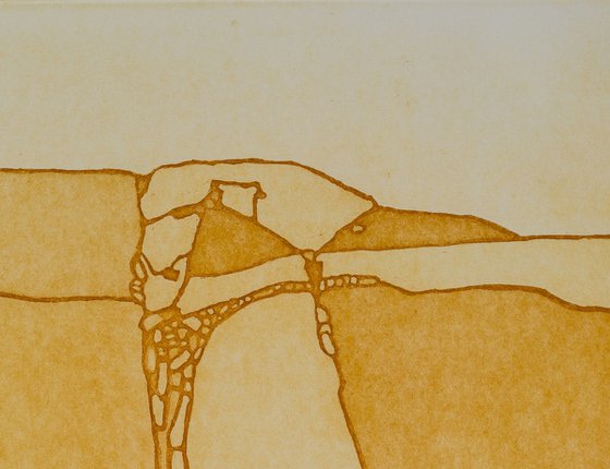 Fields 1