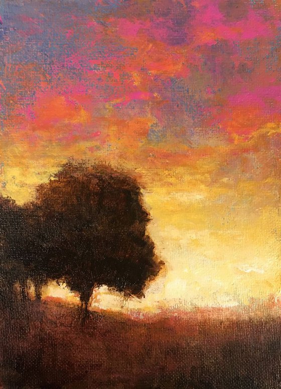 Oak Trees Sunset Plein Air Impressionist