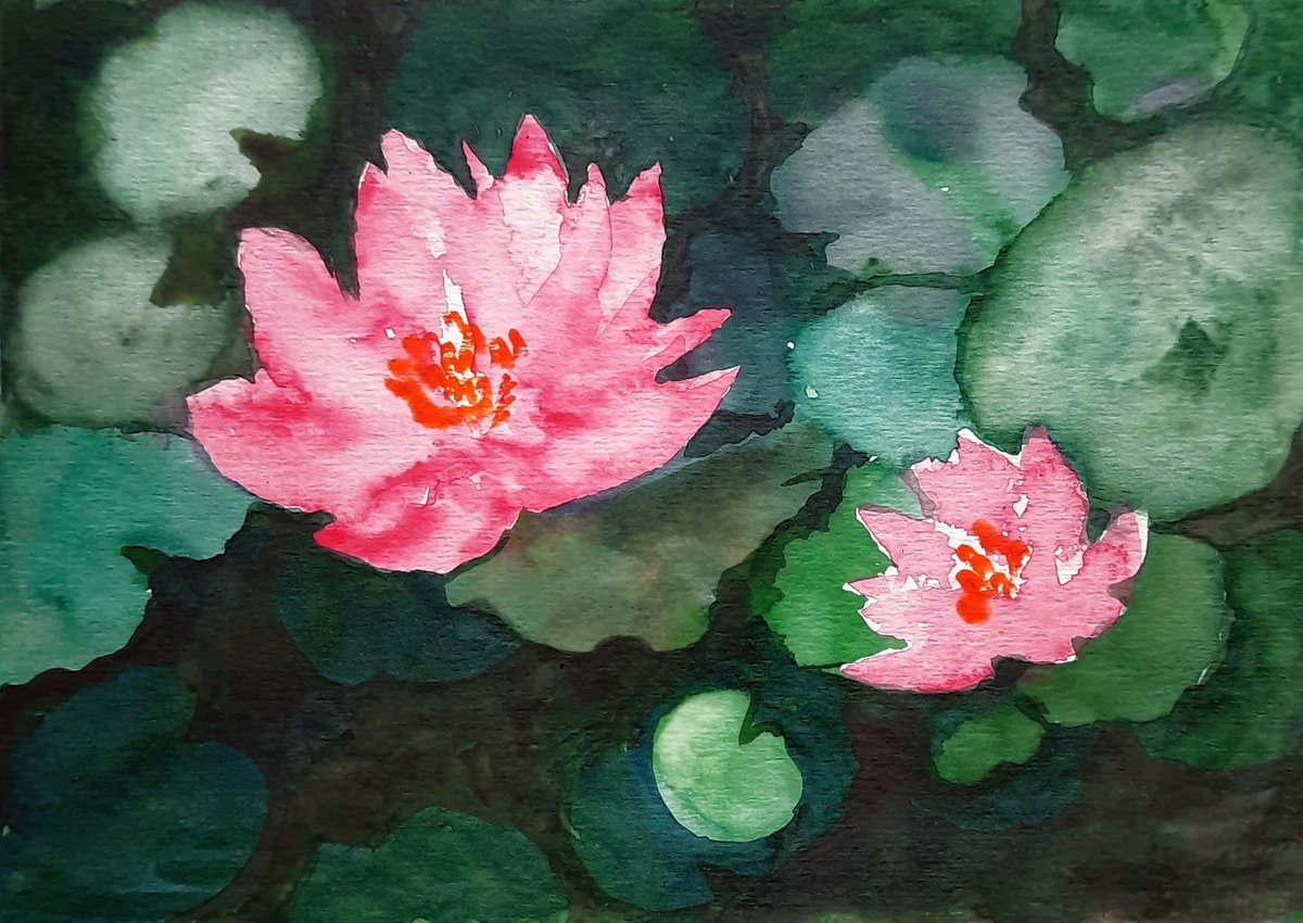 Water lilies SL 19 -  Lily pad  5.8x 8.3 watercolor lotuses by Asha Shenoy