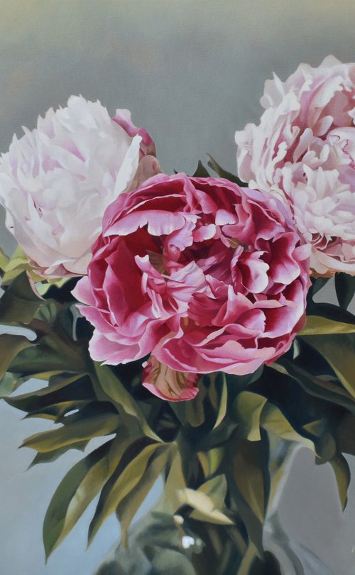 Peonies. by Vera Higgins