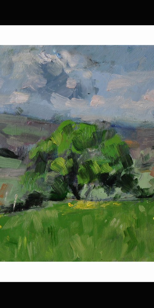 Hills near Amberley by Andre Pallat