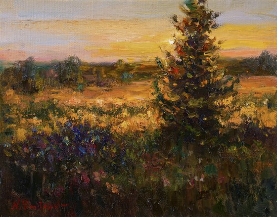 At sunset - sunny landscape painting