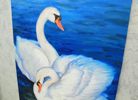 Family forever. White swans