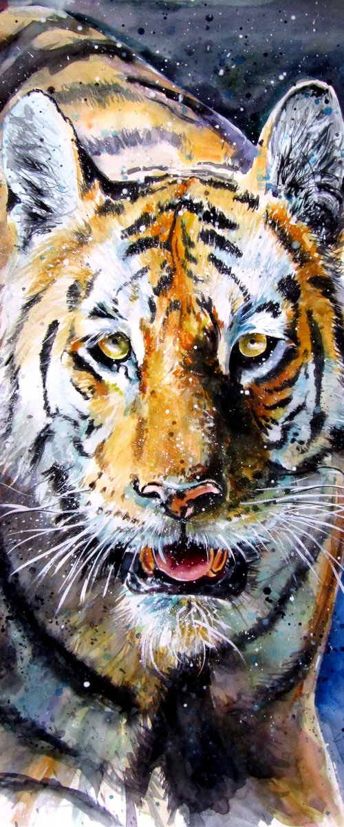 Collarwali Mataram II by Kovács Anna Brigitta