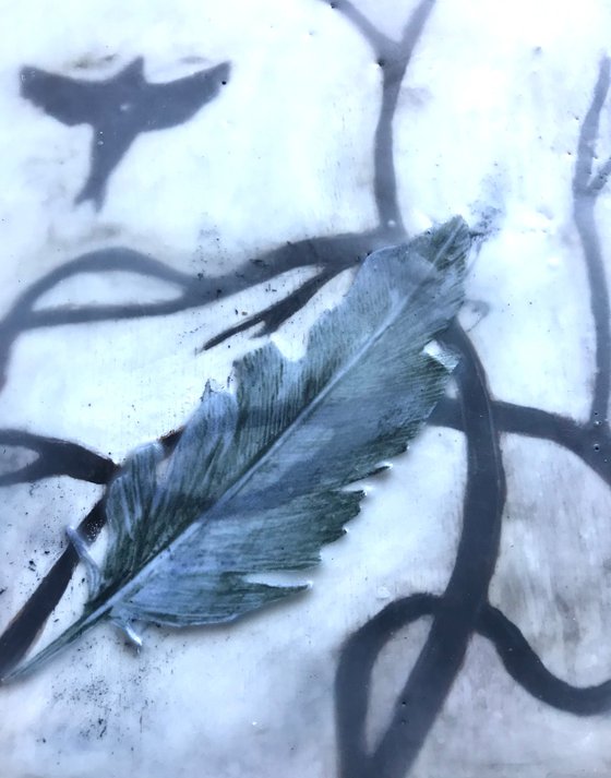 Feather- mixed media