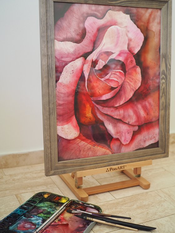 Inside the pink rose - original watercolor flower