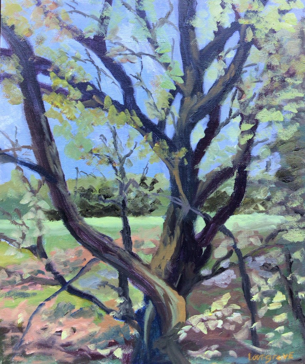 Impressionistic Landscape Oil Painting By Julian Lovegrove Art, 10 X 12", The Twisted Tree, Original Artwork