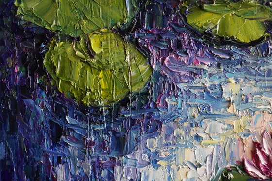 Water Lily Pond