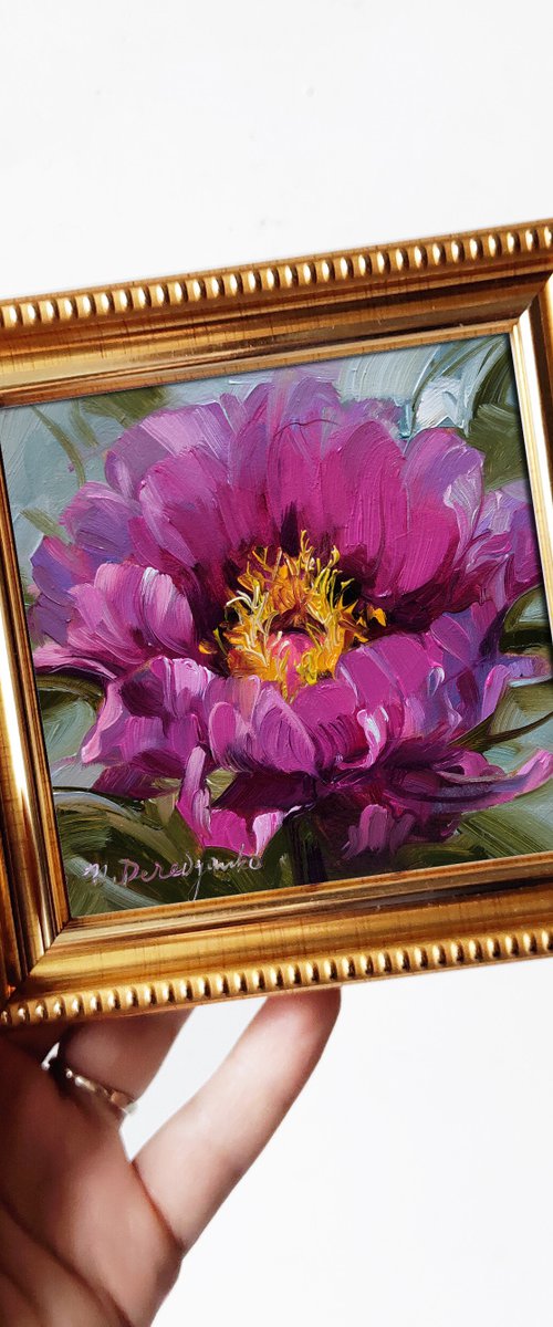 Peony by Nataly Derevyanko