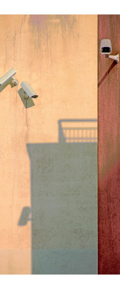 Wallscape 233 (Surveillence) by Beata Podwysocka