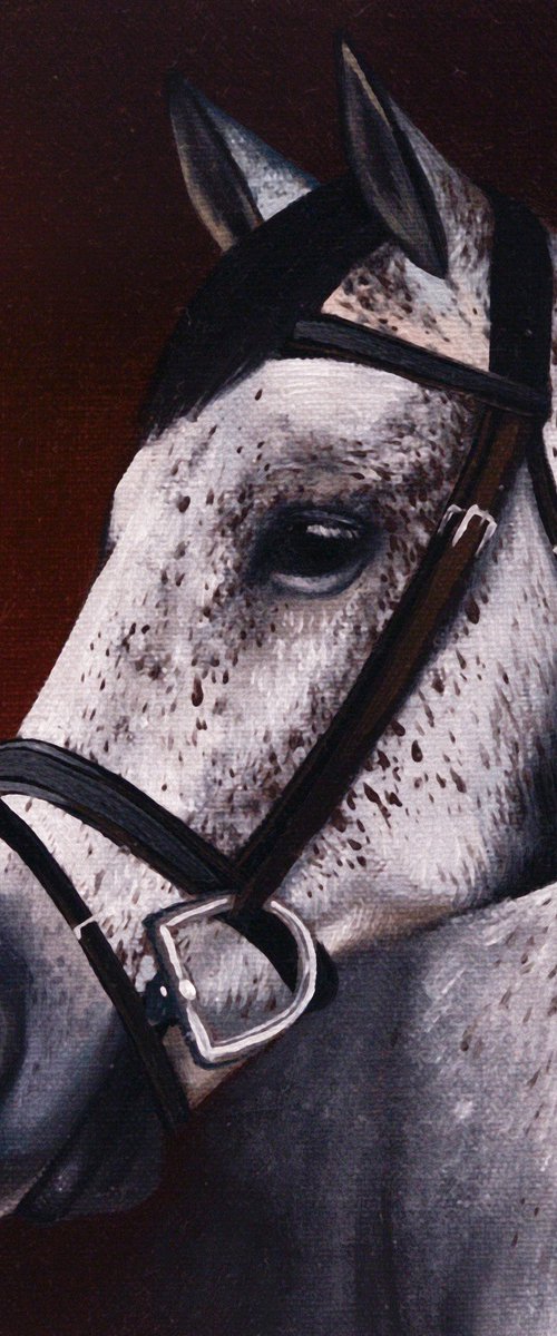 Horse Portrait 114 by Anastasia Parfilo