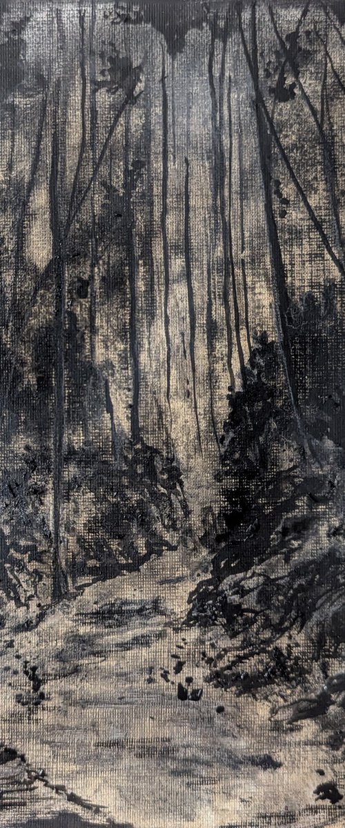 Pathways by Sophie Adair