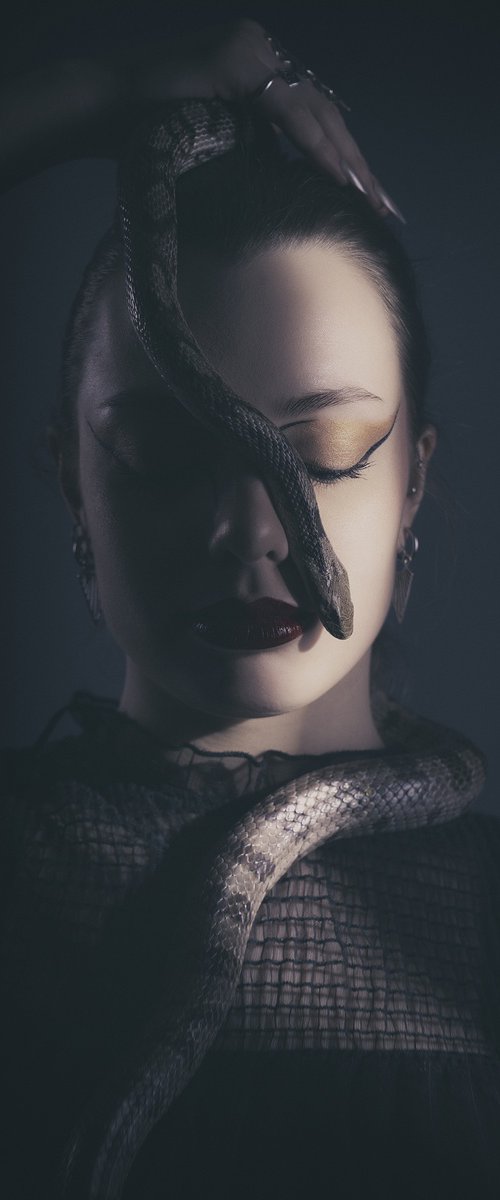 Ecailles IV by Cédric Brion