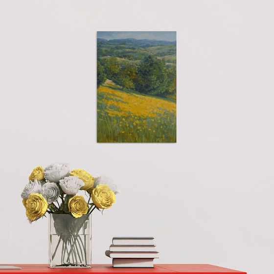 Rapeseed field in Tuscany