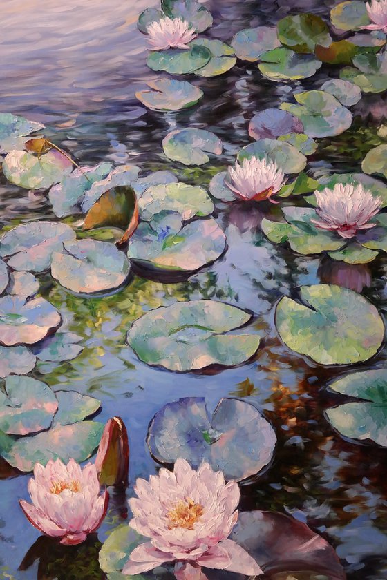 "Waterlily Melody"