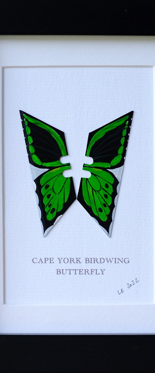 Cape York Birdwing by Lene Bladbjerg