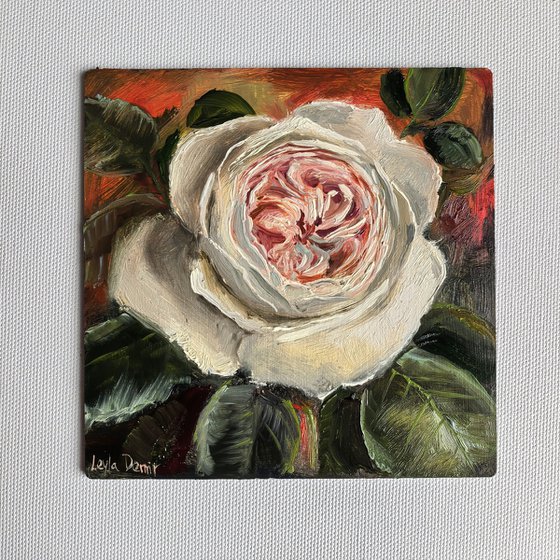 Pink roses still life