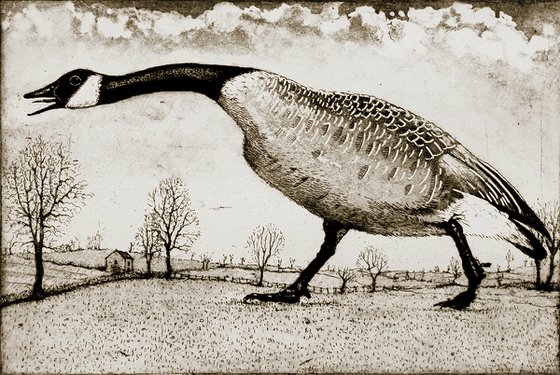 Hissing Goose