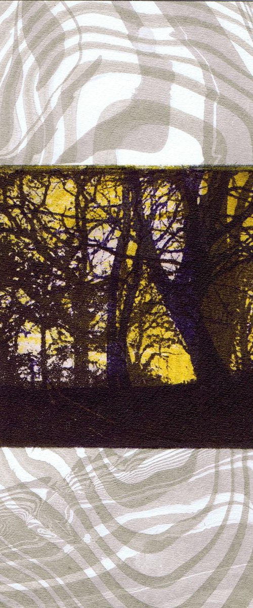 The Beautiful Trees 4 by Aidan Flanagan Irish Landscapes