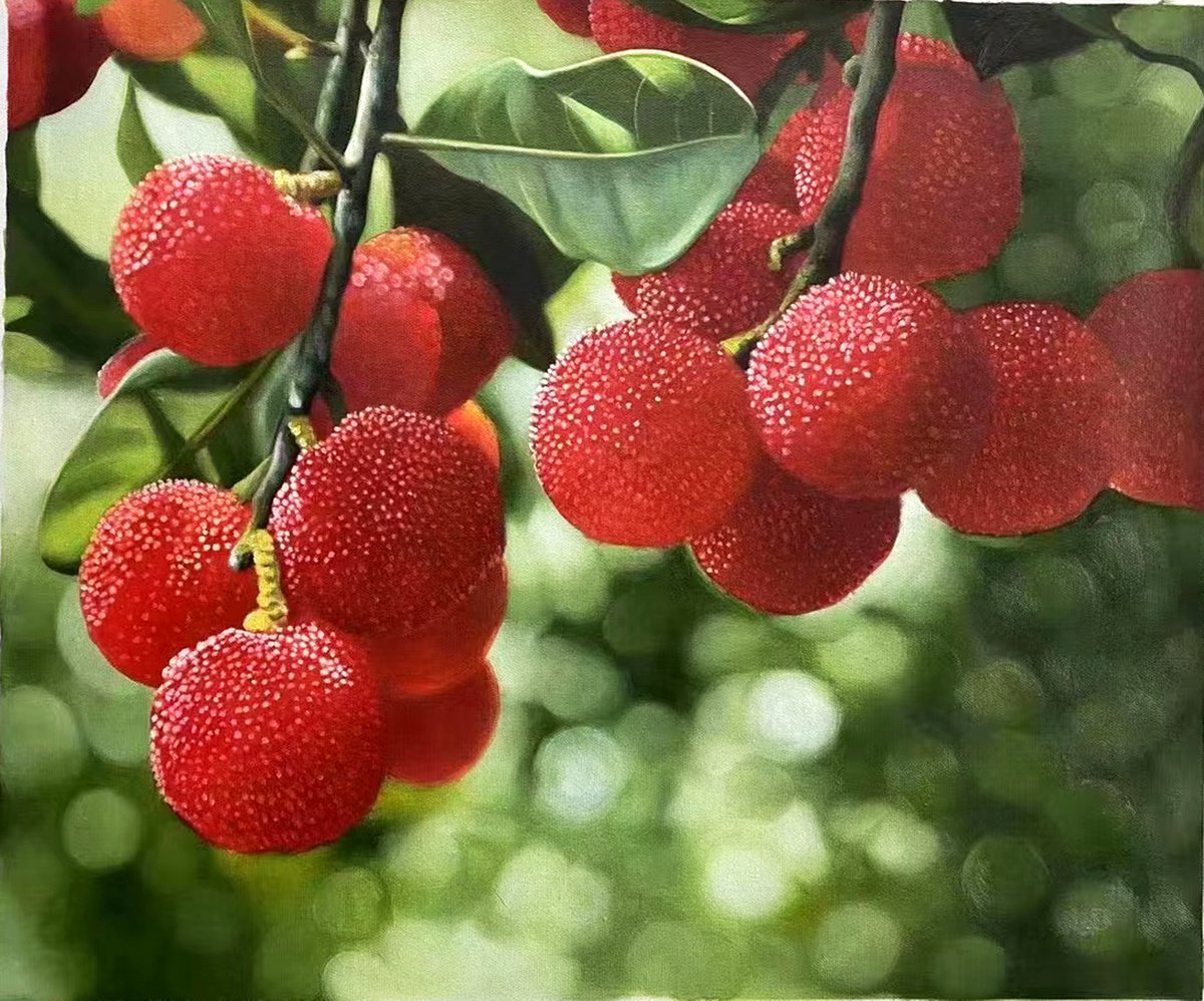 Still life:red bayberry by Kunlong Wang