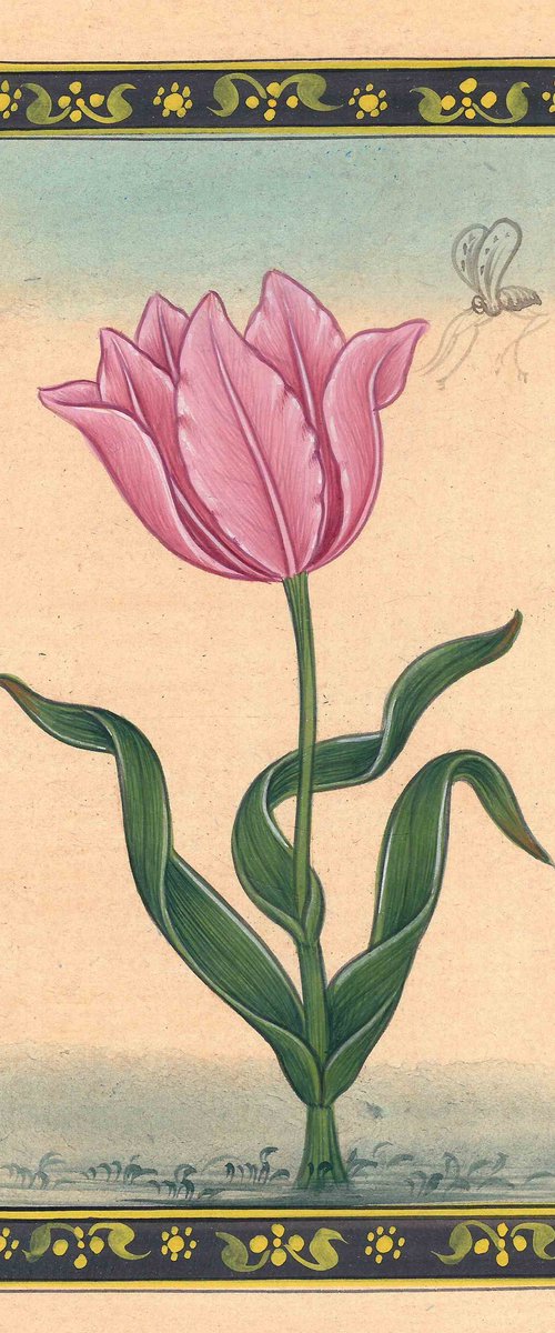 Pink Mughal Tulip | Miniature Painting by Mukesh Swami