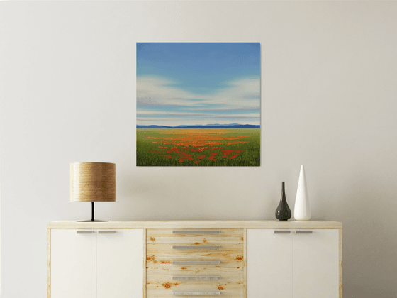 Summer Poppies - Flower Field