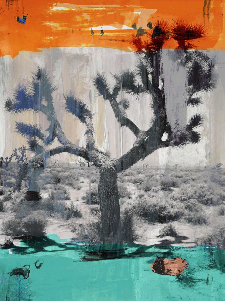Abstract Landscape Photograph By Sven Pfrommer, 31 X 39", Joshua Tree Ii, Original Artwork