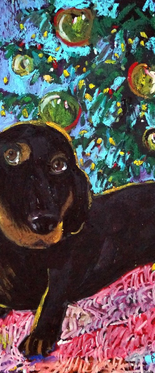 Dachshund by Yuliia Pastukhova