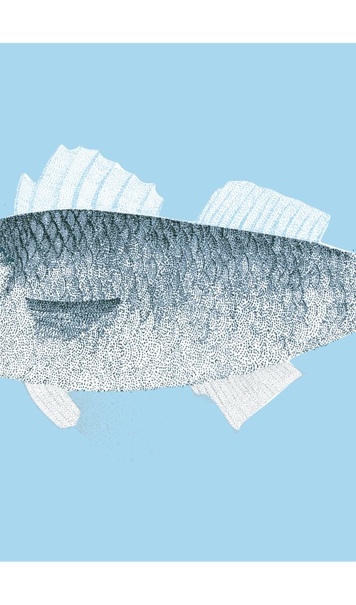 Fish - Illustration by Kelsey Emblow