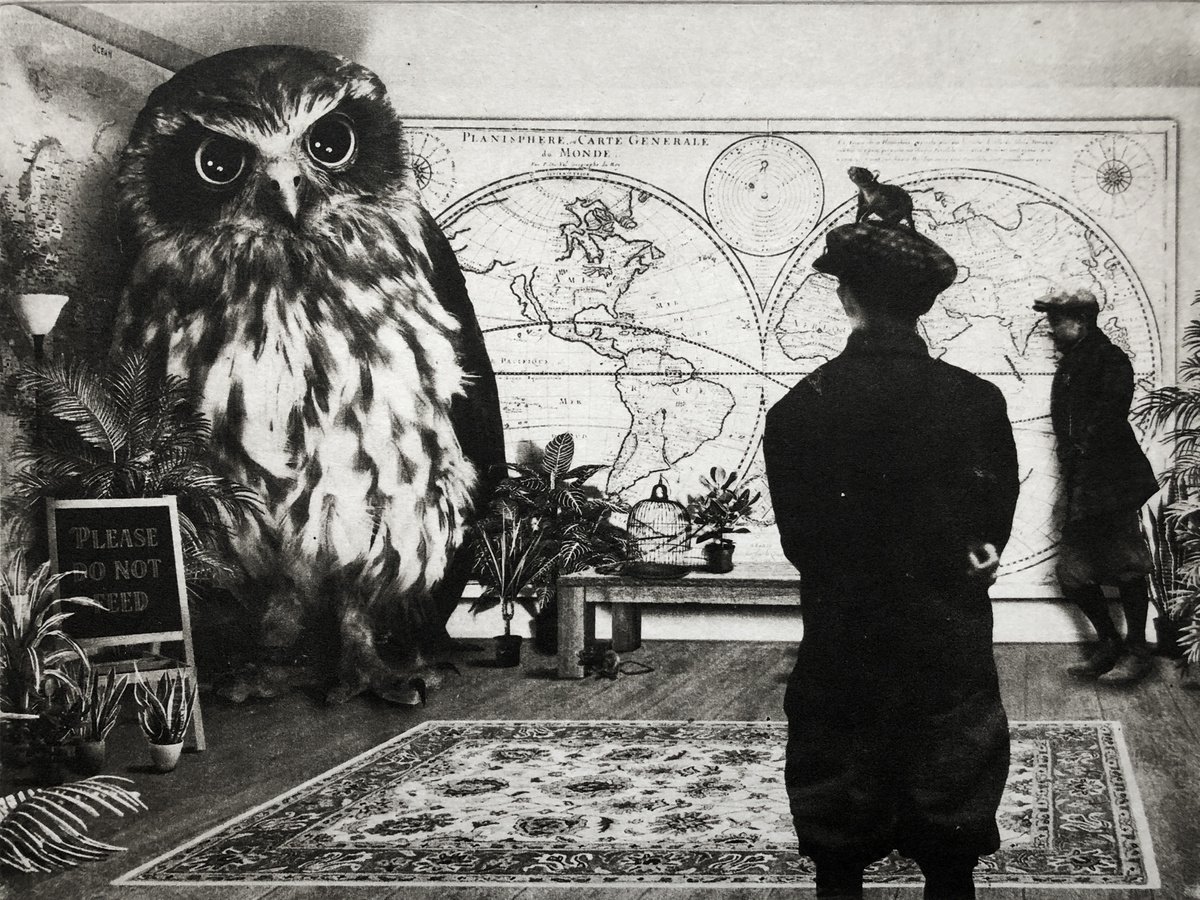 Surrealistic Animal Etchings & Engravings By Jaco Putker, 13 X 10, Interior No.133, Original Artwork