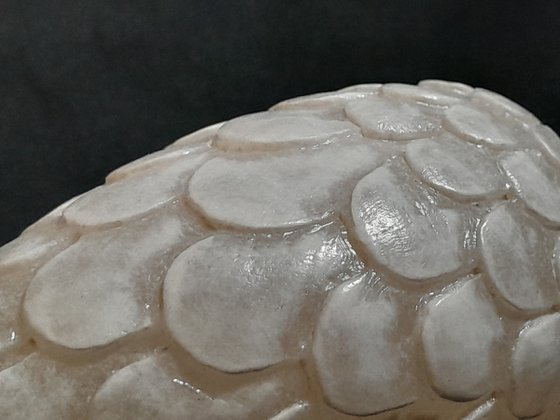 Dragon's Egg