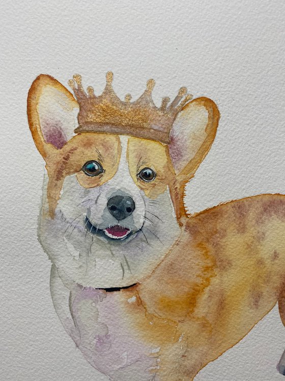 Corgi watercolour painting. In loving memory