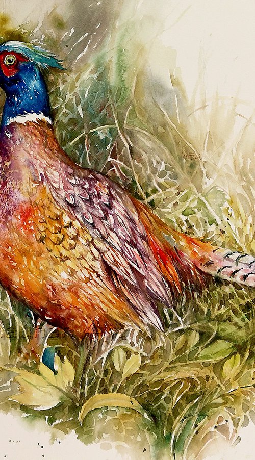 Pheasant Phillip by Arti Chauhan