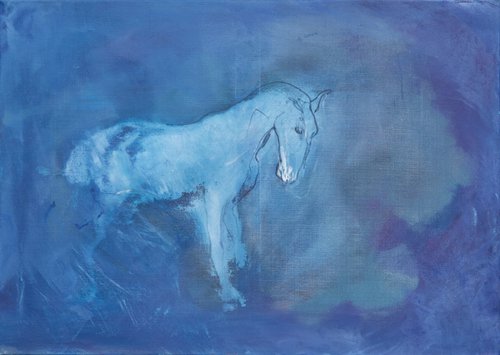 Horse Study 2 by Margit  Platny