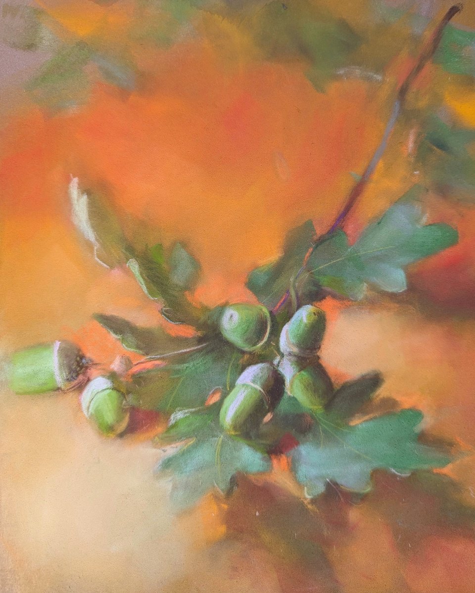 Impressionistic Botanical Pastel Drawing By Silja Salmistu, 9 X 11", Acorns, Original Artwork
