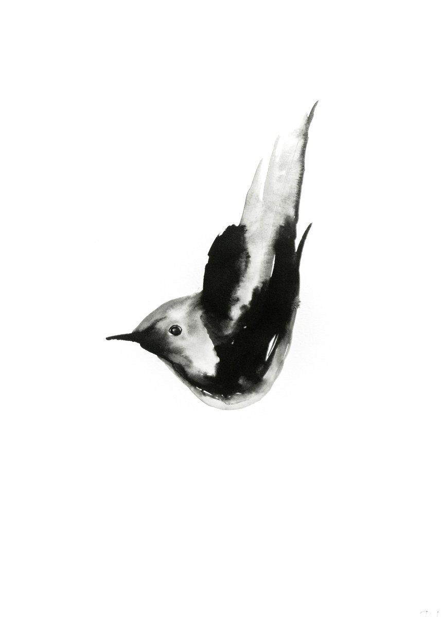 Bird by Nadia Moniatis