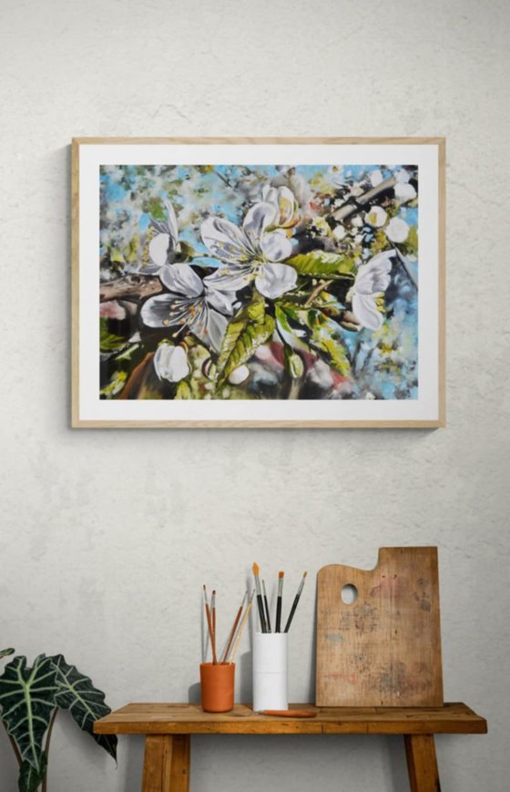 Cherry Blossom