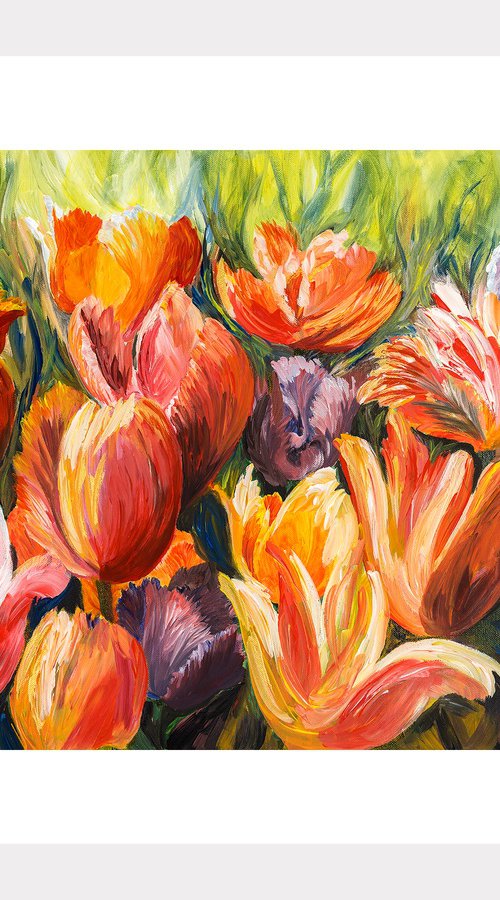 Parrot Tulips by Ken Skehan
