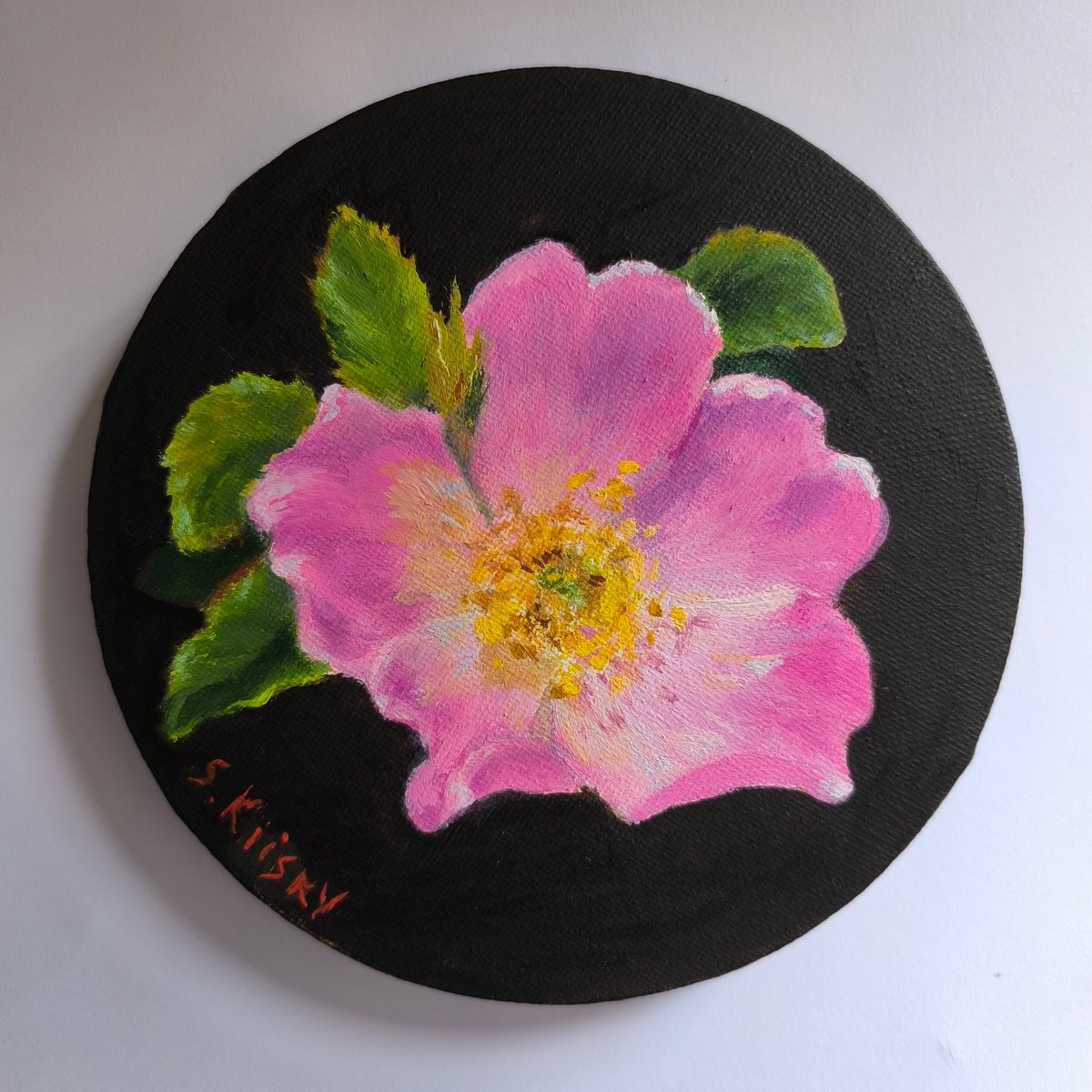 Photorealistic Botanical Oil Painting By Svetlana Grishkovec-Kiisky, 6 X 6", Wild Rose (Rosehip), Original Artwork