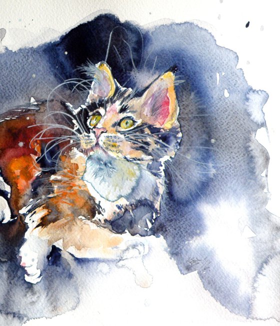 Cat resting