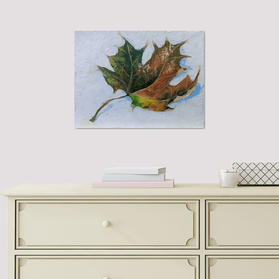 Autumn, maple leaf.