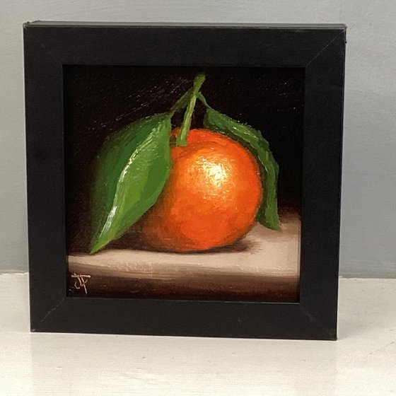 Little clementine still life