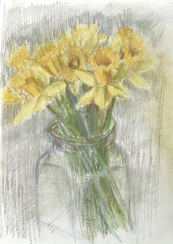 Daffodils