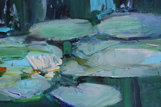 "Water Lilies "