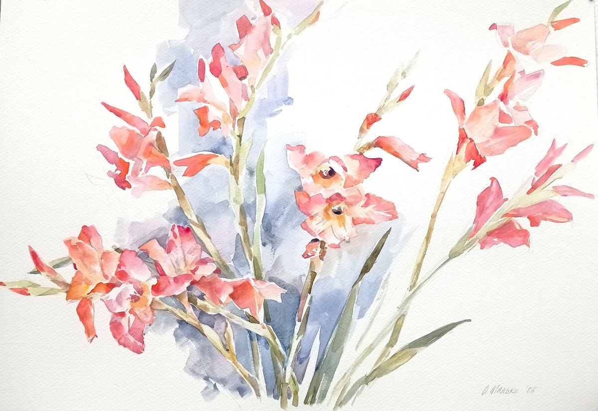 Impressionistic Botanical Watercolour By Olha Malko, 20 X 14", Pink Glads / Original Watercolor ~20X14In (50X35Cm), Artfinder
