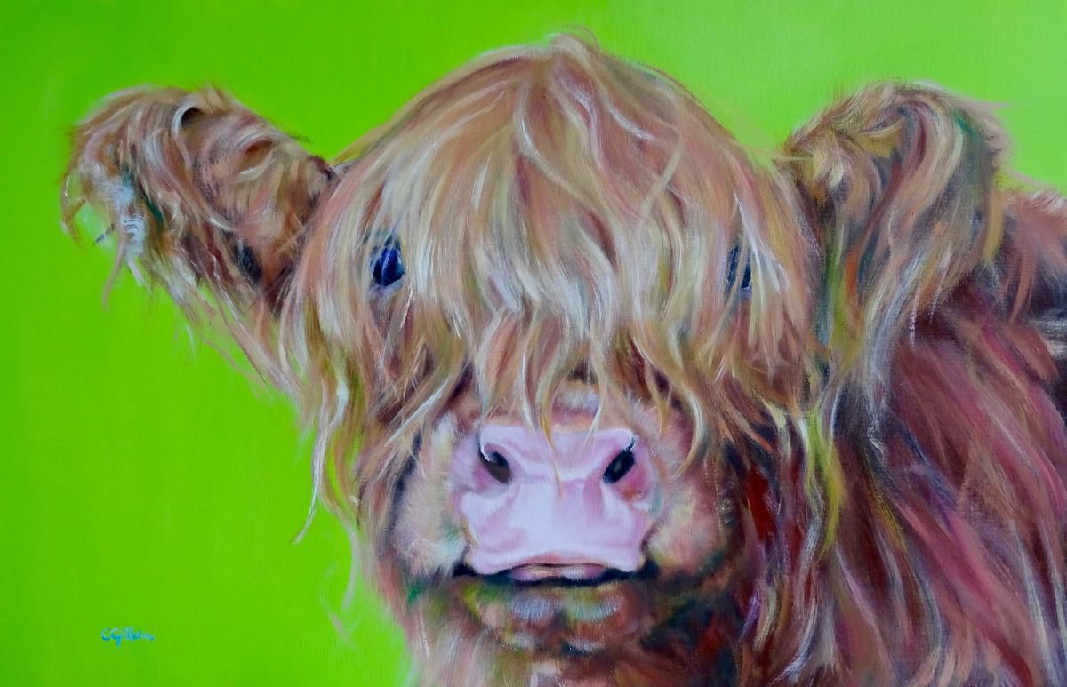 Boris - Highland Cow original oil painting by Carol Gillan