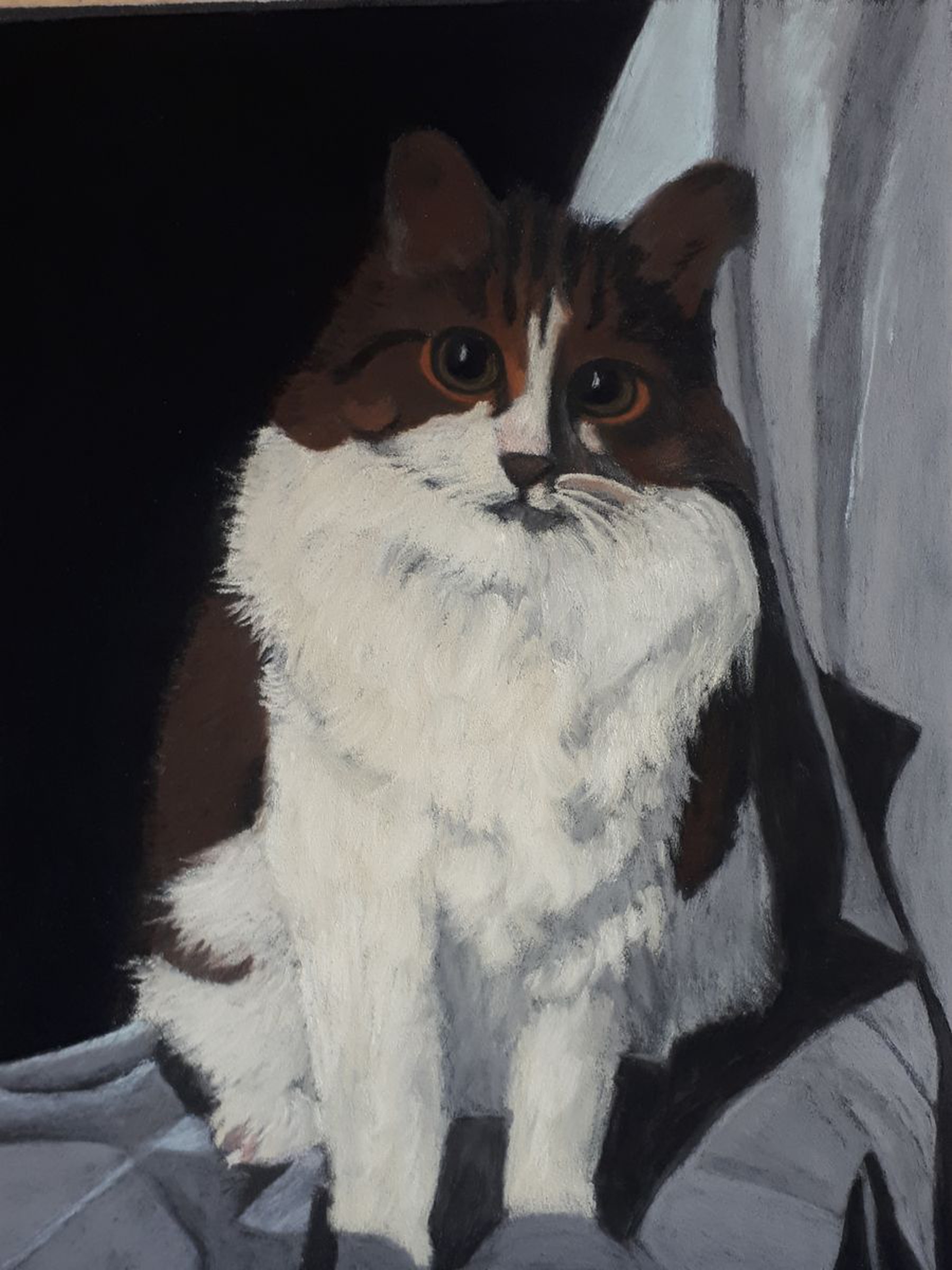 Bonsai The Gorgeous Cat By Anne Shaughnessy Artfinder