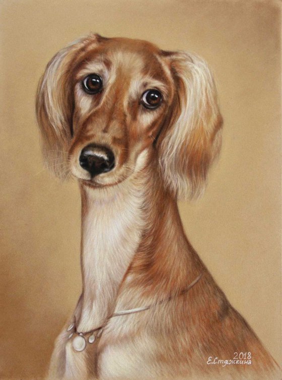 Arabian dog portrait Lady