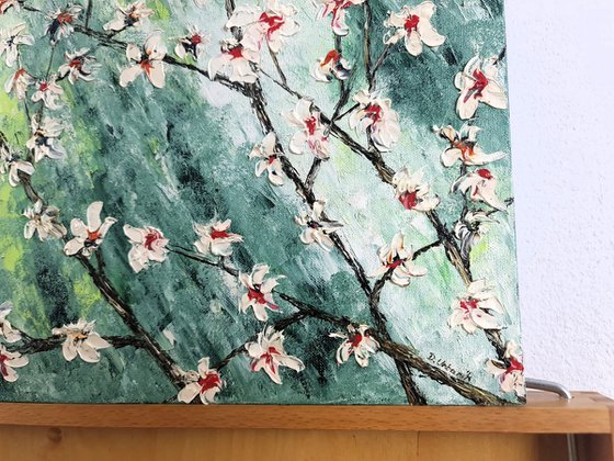 Cherries in bloom 1